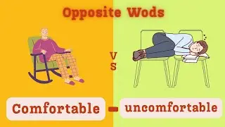 Discover 600 Opposite Words and Antonyms for Language Expansion English Vocabulary / Learn English