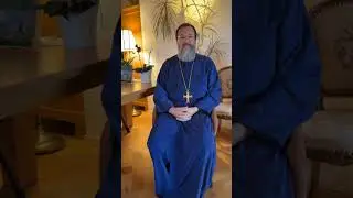 Ortodocșii cu minte protestantă! Pudibonzii sensibili și înșelarea comodității