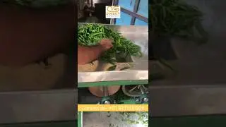 Chilli Cutting Machine for commercial use #chilli#cuttingmachine#fmcgexport #machine #manufacturer