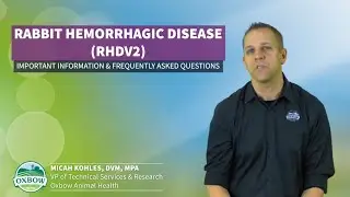 Rabbit Hemorrhagic Disease (RHDV2) &ndash; Important Information and Frequently Asked Questions