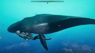 Beyond Blue: Scan Everything