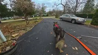 Bikejoring Tunda