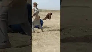 #dailylifestyle #afghanistan #paktika