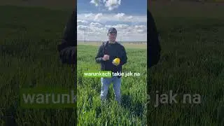Jeden zabieg? 🌾 Wystarczy, jeśli dobrze wybierzesz! #basfagro #basf #daxur #agriculture #zboża