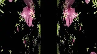 PERCEPTION HACK ( touch designer )