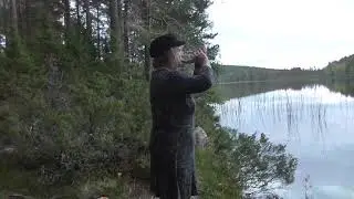Kohorn