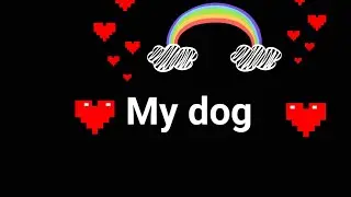 My dog!