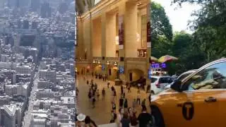 New York City Perspectives