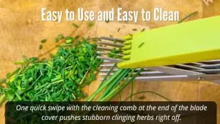 Jenaluca Stainless Steel Herbs Scissors - Professional Chef Results