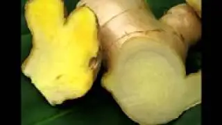 إذاعة دولة الكوت عن الزنجبيل