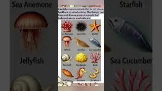 Invertebrate Animals (examples)/Definition/ #invertebrateanimals #science #evs #environment