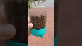 Introducing the Ultimate 3-in-1 Dog Water Cup!  #petcare #petfeeder #petsanimals