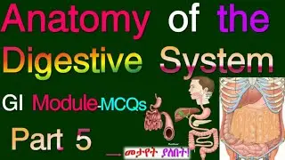 Anatomy of the Digestive System, GI Module with MCQs, Part 5, Based on the new Ethiopian Curriculum