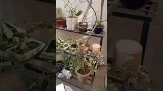 Adhyay 1 Arjun Vishad Yog