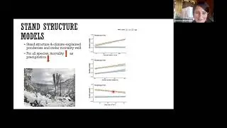 Sierra Nevada Tree Mortality