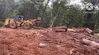 😱😱amazing skills operator wheel loader loading logs into logging truk