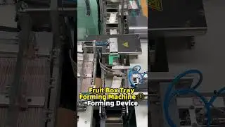 Fruit Box Tray Forming Machine ① Forming Device