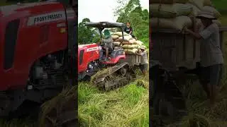 Massey Ferguson Crawler Tractor Hauls Heavy Rice Load Through Rural Grassland 🌾💪 #shorts #tractor