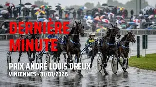 Quint&eacute;+ Samedi 31/01/2026 : Les Derni&egrave;res Minutes | الكانطي اليوم: آخر الأخبار #turf #pmu #quint&eacute;