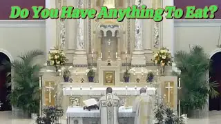 Homily Third Sunday of Easter Sacred Heart Catholic Church 2024 #catholic #easter #catholichomily
