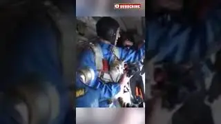 This Cat Went Skydiving!
