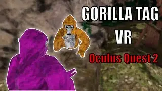 Gorilla Tag VR is a COMPETITIVE VR Experience | Quest 2