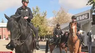 Meet Sacramento Police's mounted patrol