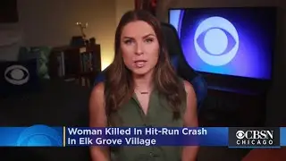 Woman Killed In Hit-Run Crash In Elk Grove Village