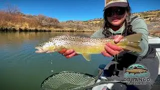Durango Fly Fishing | Guide Fly Fishing