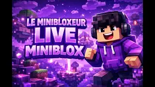 Je Joue A Miniblox Avec Mes Amis En Live