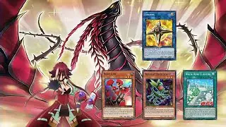 『EDOPRO』Rose Dragon deck 2020