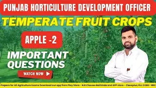 Temperate Fruit Crop | Apple -2 | Punjab Horticulture Development officer (HDO) 2025