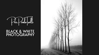Black and White Photography | 