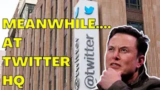 Штаб-квартира Twitter в полном крахе после покупки компании Илоном Маском! Нет БЕЗОПАСНОГО ПРОСТР...