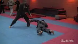2.9 -KUKISHIN RYU TAI JUTSU - CHUDEN NO KATA: tatsunami
