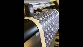 CE6000 120   Corte a registro y corte perforado