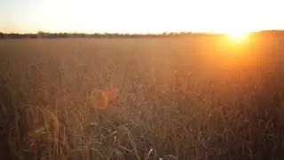 The Bounty of the Blackland Prairie