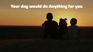 Book Trailer WEARY ROAD by James Babb