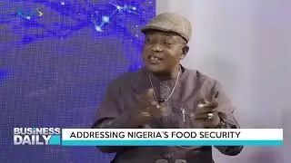 BUSINESS DAILY: Addressing Nigeria's Food Security   | TRUST TV