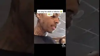 no way he stole a lobster ⚠️I don't own this video ⚠️