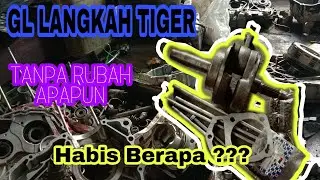 #GL NEOTECK NAIK STRUK TIGER/LANGKA TIGER .Apa yang harus dirubah???