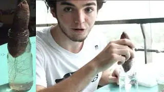 how to give life to your potato ez tutorial