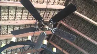 9 Builder fans with outdoor blades at Hotel Restaurant (off)