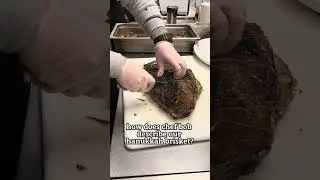 Hanukkah Brisket