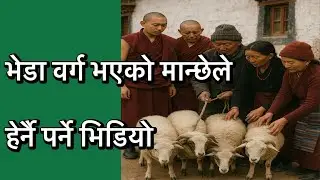 In 2025, special prediction fr sheep 🐑 year people&rsquo;s health wealth luck  #ask to Buddhist astrologer