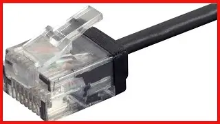 Monoprice - 134211 Cat6 Ethernet Patch Cable - 0.5 Feet - Black | Stranded, 550MHz, UTP