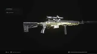 COD MW Gold Camo EBR-14 Best Class Set-up