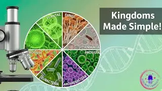 Kingdom Classification Systems Explained (Part:1)