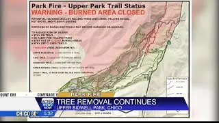 City of Chico crews to begins work removing fire damaged and hazardous trees impacted by the Park