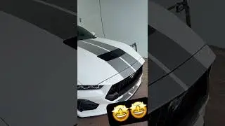 2024 s650 Mustang gets racing stripes